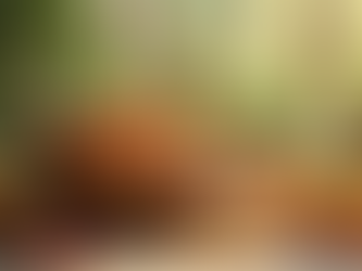 Top 10 Organic Gifts for Health-Conscious Givers