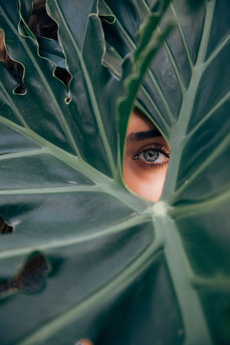 Peeping Through a Leaf_edited.jpg