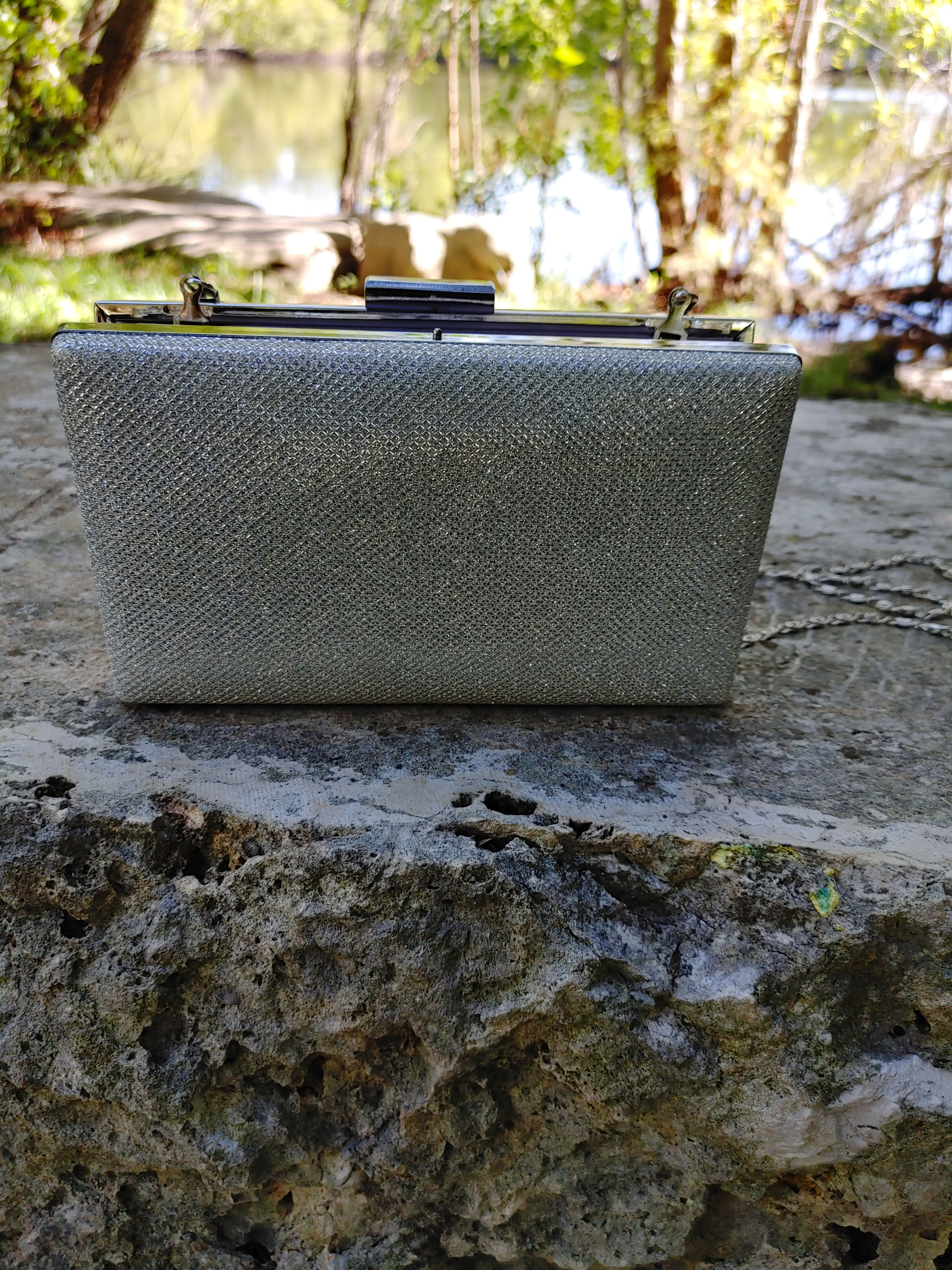 Camille La Vie Silver Clutch