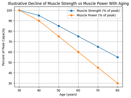 Speed Matters: Muscle Power, Aging, and Longevity