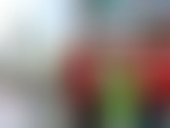 علما الإمارات والسعودية يرفرفان معا في ” اسياد جاكرتا”