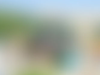 فاطمة بنت هزاع: وصول فرسان القفز إلى أولمبياد باريس ثمرة دعم منصور وهزاع بن زايد