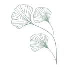 ginkgo joailes