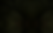 Background contact page.png