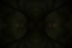 fractal feuilles HD dark.jpeg