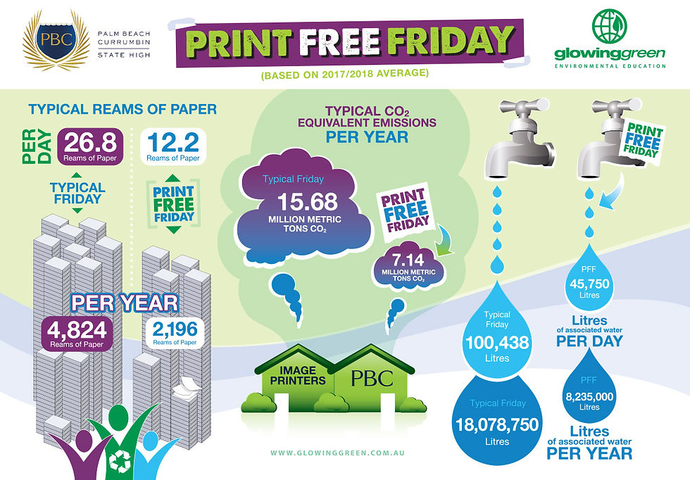 An infographic poster designed to highlight environmental awareness and sustainability efforts within Palm Beach Currumbin State School.