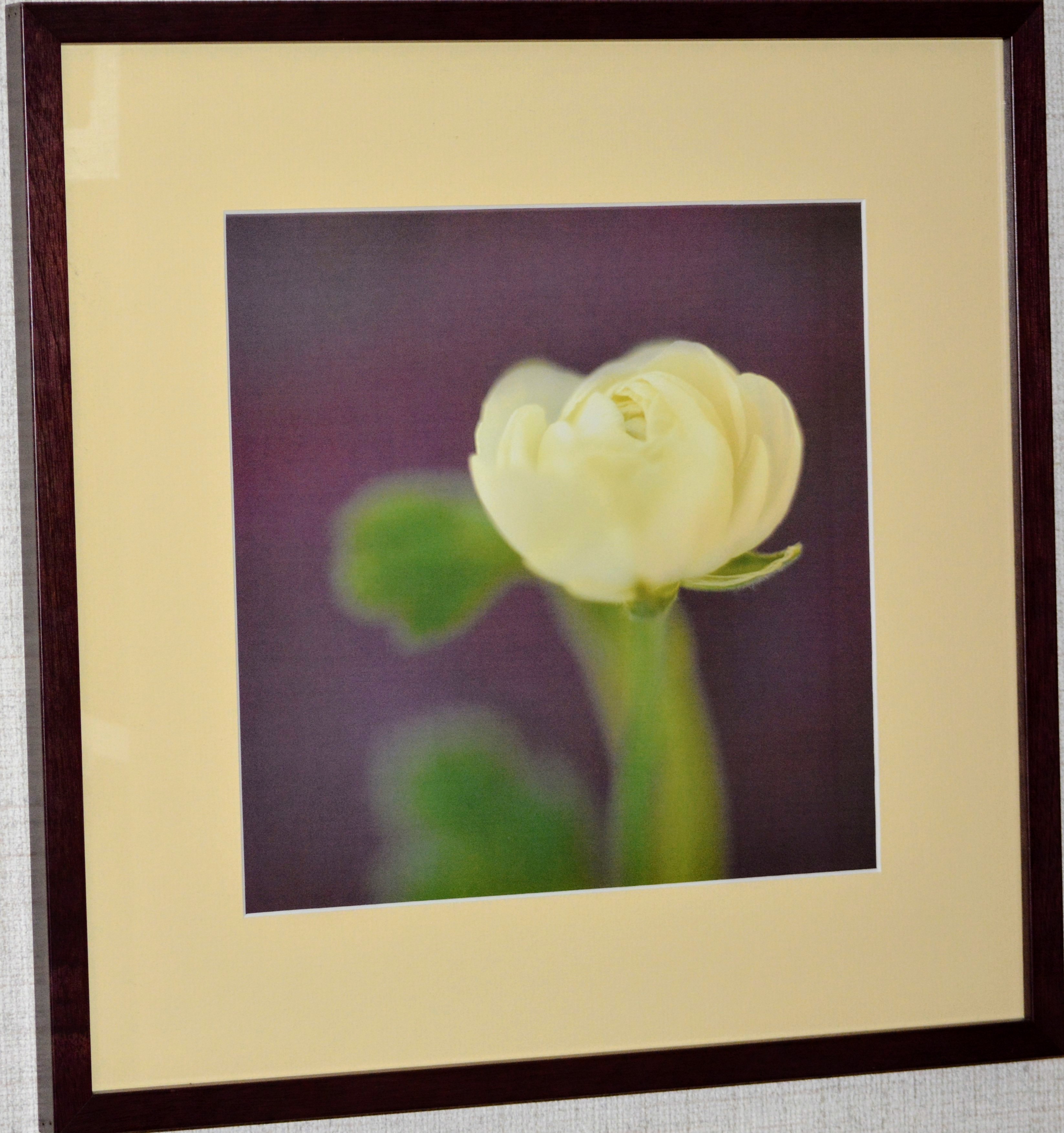 White Flower