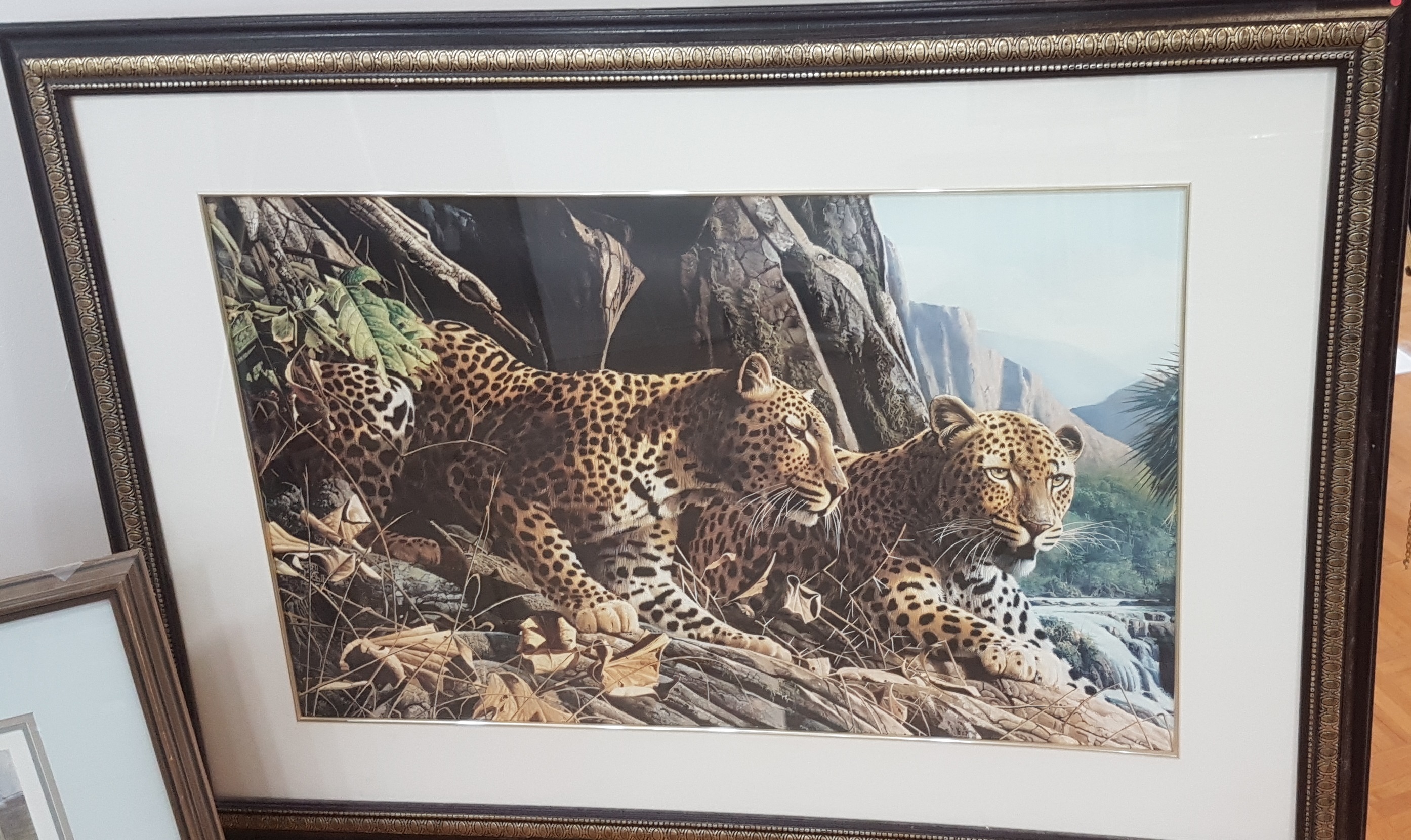 Jaguars