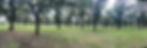 image1.jpeg