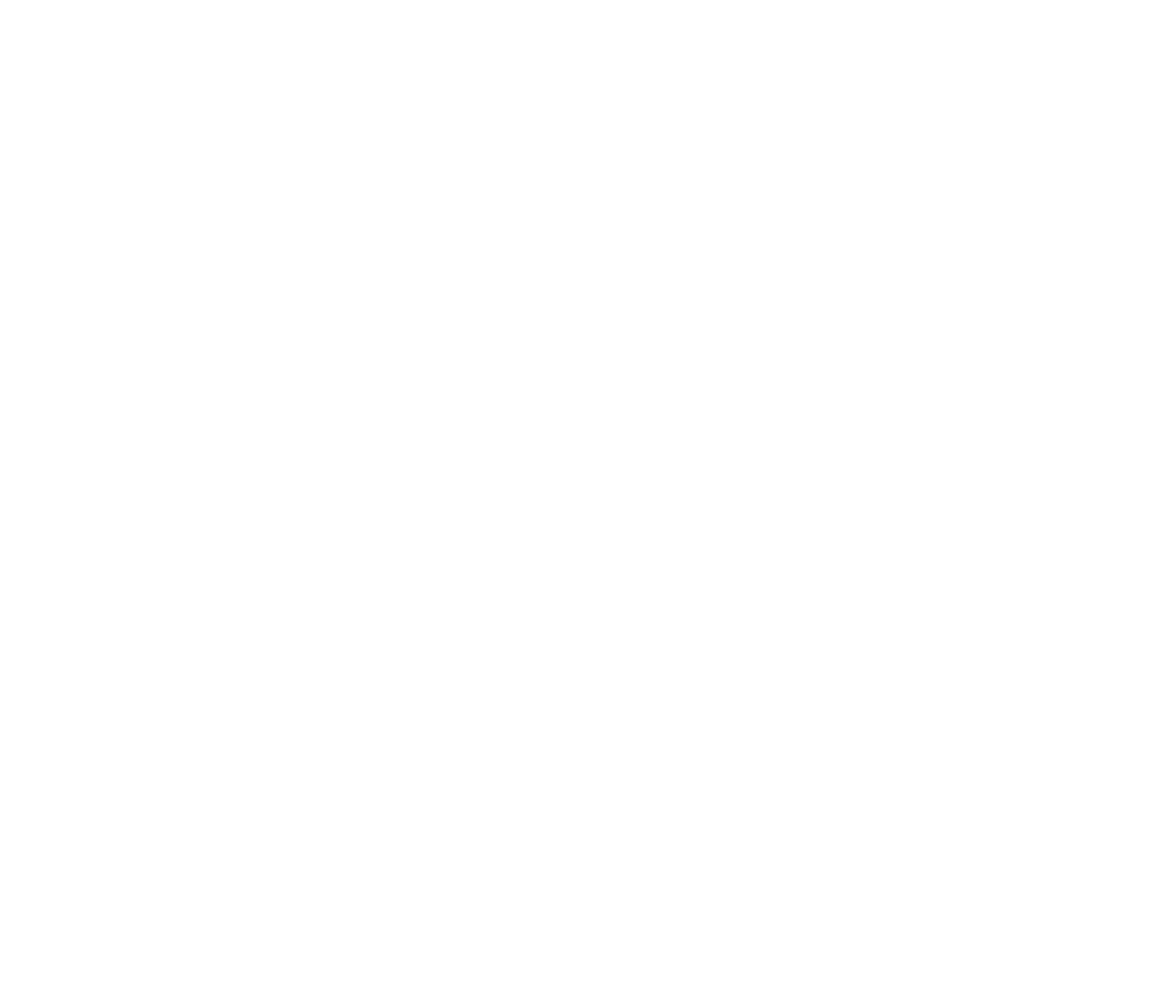 SS LOGO WHITE F.png