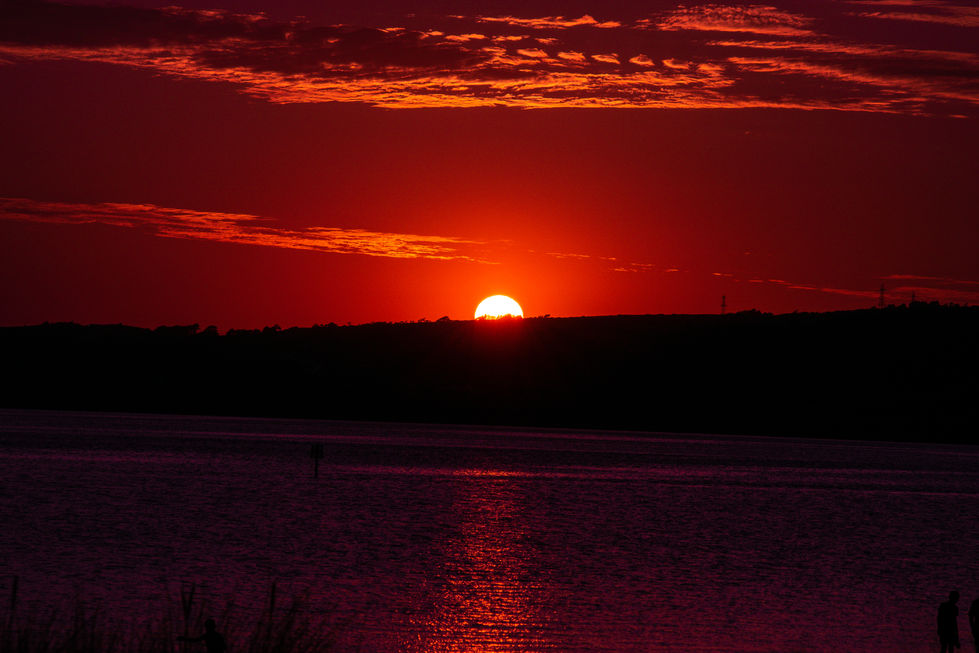 DSC_0313.jpg