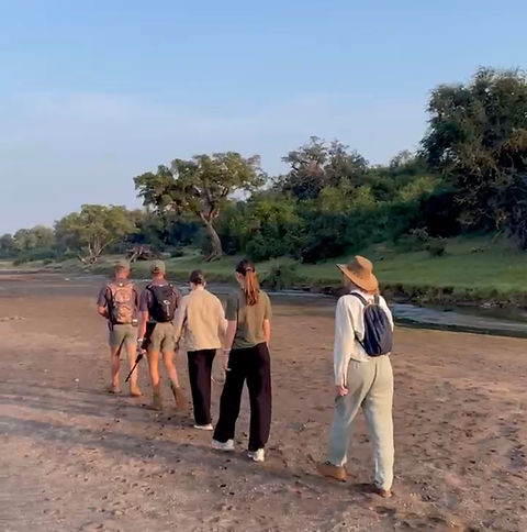 HASU Zen immersive experience Africa 2028