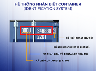 Hướng dẫn đọc - hiểu các ký, mã hiệu trên vỏ container trong vận chuyển đường biển