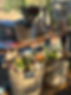 IMG_9921.jpeg