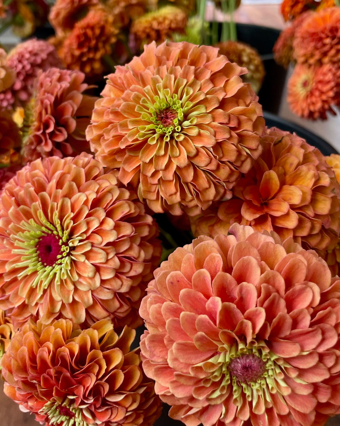 Dog Days Summer Flower Subscription
