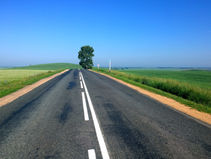 Standing at the Edge of the Road