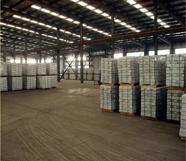 WhatsApp Image 2025-11-06 at 11.24.23.jpeg