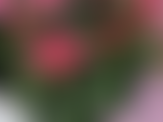 もうそんな季節・・・