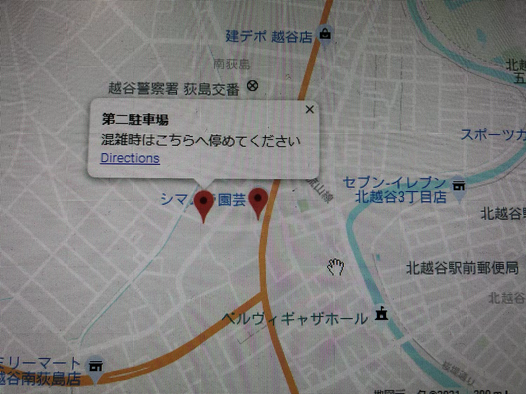 シマムラ園芸 埼玉 ホームページ 多肉