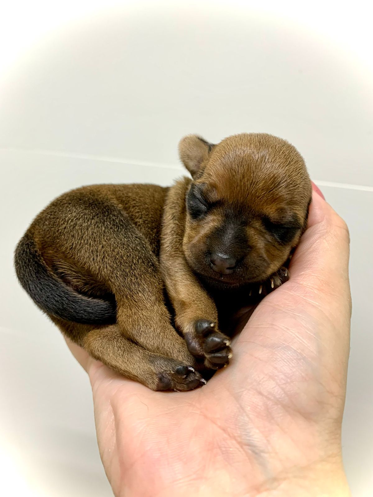 WhatsApp Image 2022-10-02 at 11.02.34.jpeg