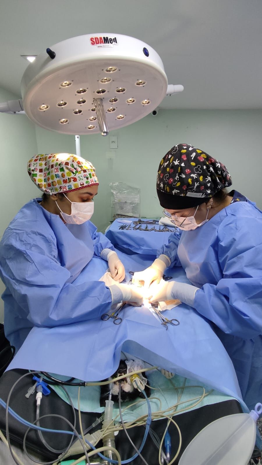 WhatsApp Image 2022-10-02 at 10.10.14.jpeg