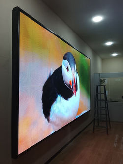 LED SCREEN