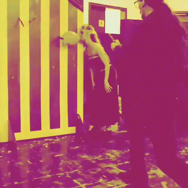 faca-bichiga