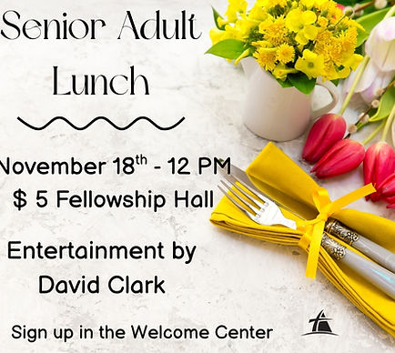 Senior Adult Lunch Poster (Facebook Post) (14).jpg