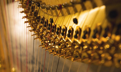 Harp