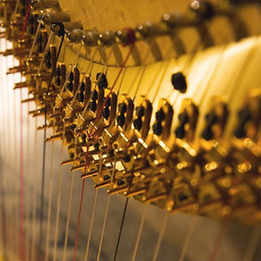 Conference Photo Nicholas Hunter.jpg