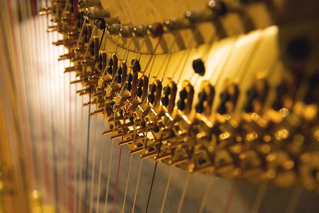 Harp