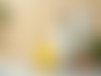 Eco-Friendly Skincare: Embracing Sustainable Skincare Innovation