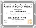 REIKI-LEVEL-MASTER-MBLUE-SITE.jpg