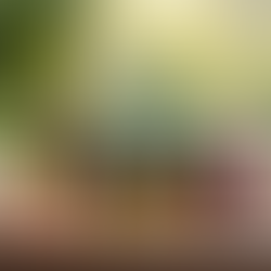 Enhancing Your Life with Wellness Product Benefits