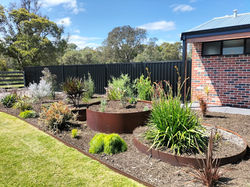 Weathered steel edging used for feature planting in residential garden