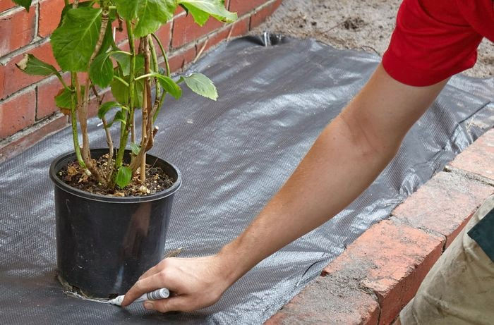 Thumbnail: Weed Mat