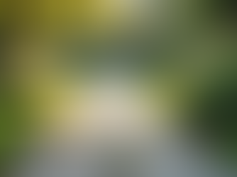 Choosing the Right Materials for Your Garden Landscaping