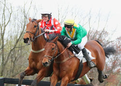 My Lady's Manor 2025 (421)