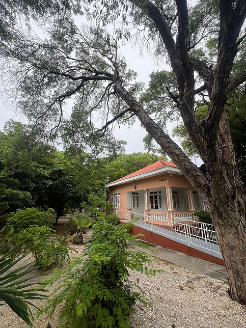 Afbeelding van WhatsApp op 2025-10-21 om 08.53.21_e6631e05.jpg