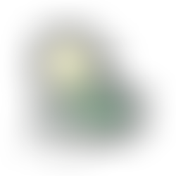 Sustainable Gastronomy Day 18 juni