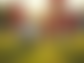 Essential Tips for Youth Sports Training and Development