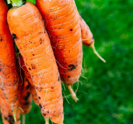 Reduce waste from carrots!