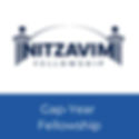 Nitzavim Fellowship