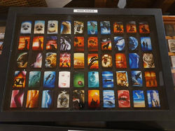 56219943_2162702027100288_69791658842626