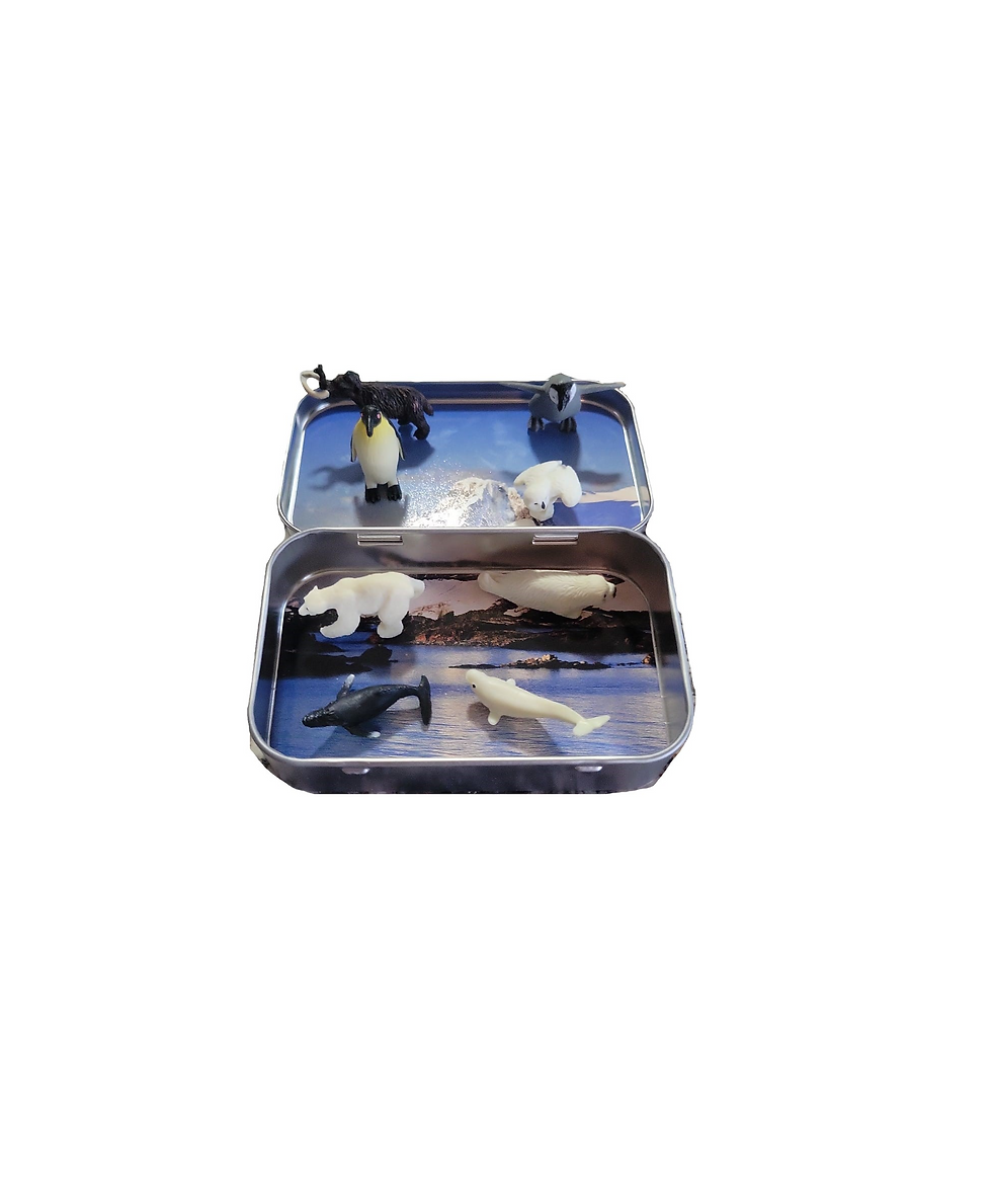 Thumbnail: Arctic Magnetic Animal Tin