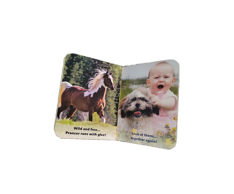 Thumbnail: Fluffy and her Friends - Toddlers Pocket