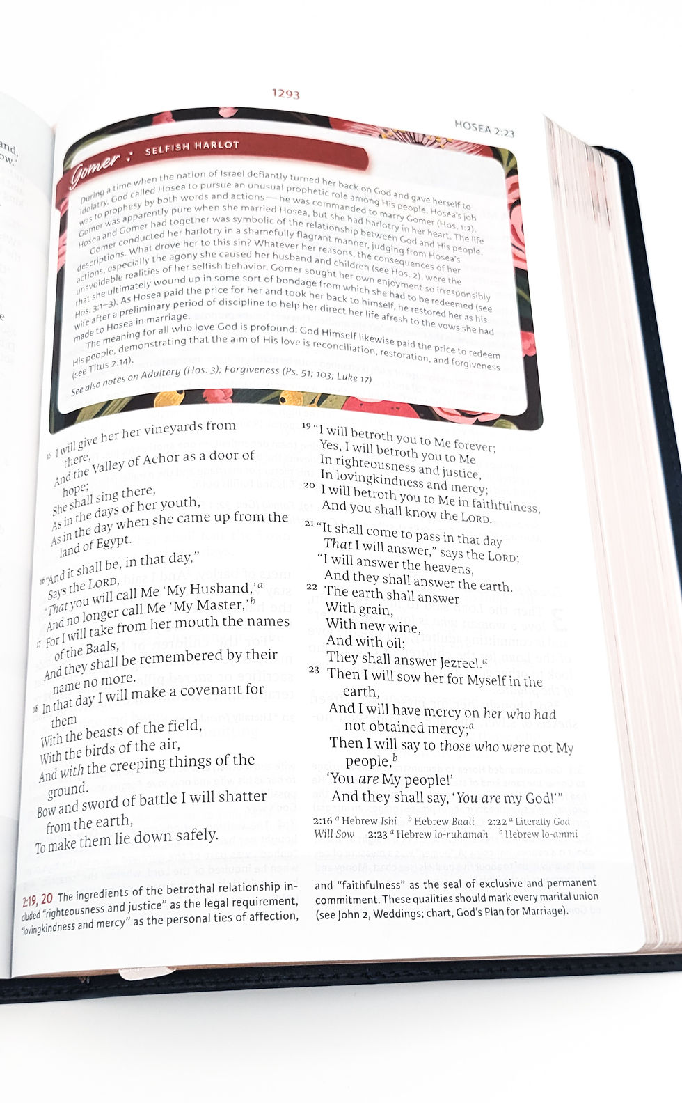 Thumbnail: NKJV Woman's Study Bible (Full Color)-Navy Blue Leathersoft
