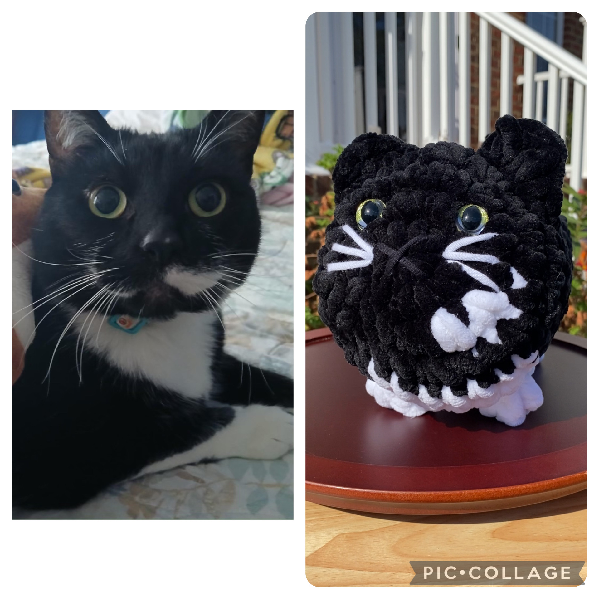 Custom Copy Cat