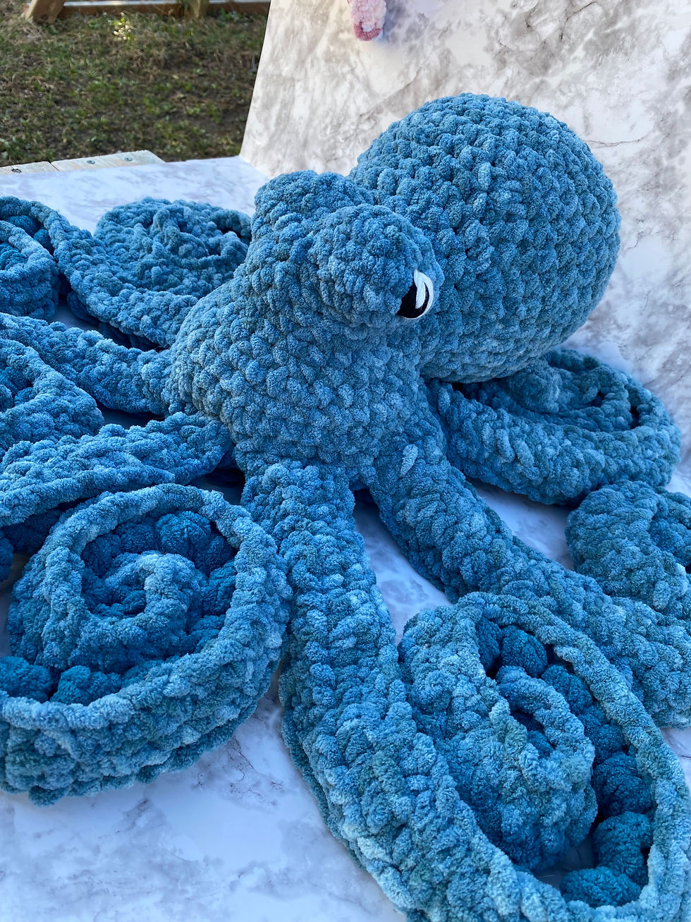 Giant Octopus