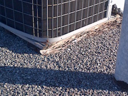 damaged membrane